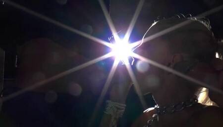 Vampires In Need Of Human Sperm