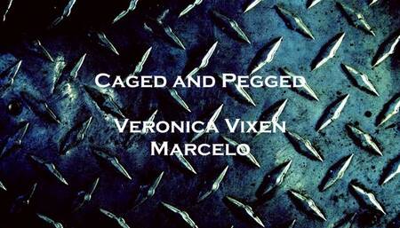 Veronica Vixen Will Cane And Peg Your Ass