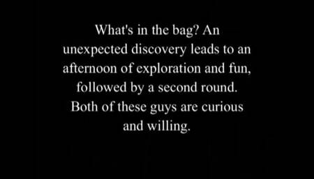 Bisexual Afternoon Of Fun