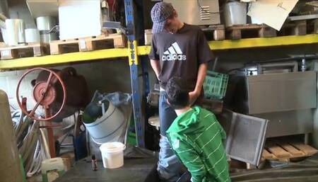 Rough And Tumble Skater Boys Get Down