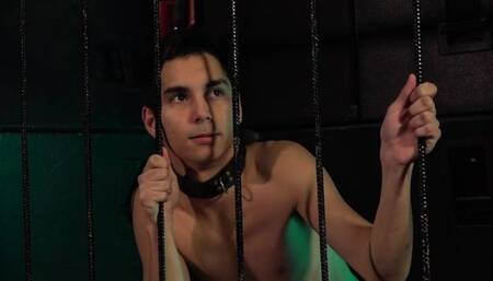 Dom Bastard Takes Captive Cock