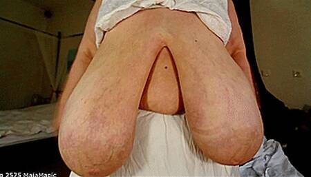 2600th Clip Celebration - 60 minutes Clip Compilation No 2 (Clip No 2600 - mp4 version)