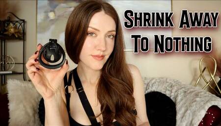 Shrink Away To Nothing 2