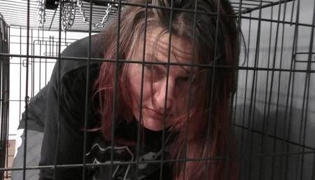 A Beating To Remember: 4K HD