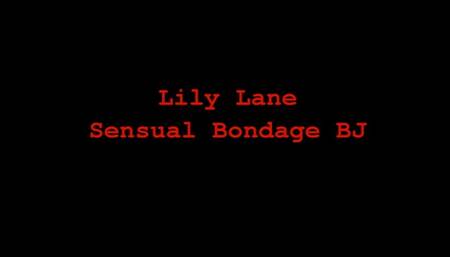 Playdate With Lily Lane