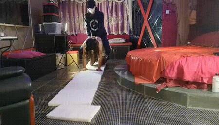 LUNA212_RIDE ON 175cm PONYGIRL