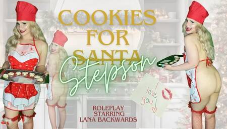 Cookies for Stepson (1080WMV)