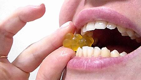 sniff the gummi bears