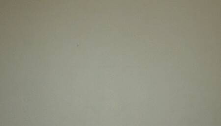 Facesitting Oral POV Cucking