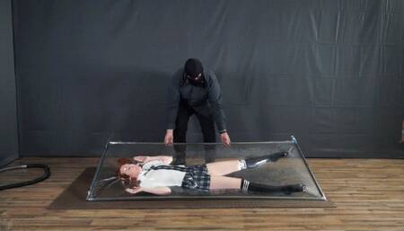 Ultra thin and see through vacuum bed with schoolgirl and rollovers