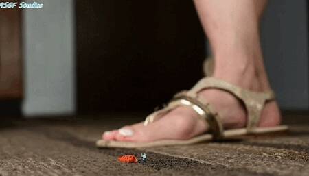 Miss Coco unaware sandal crush! - MOV