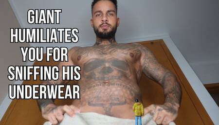 Giant humiliates you for sniffing his underwear - Lalo Cortez