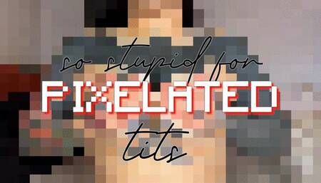 So Stupid For Pixelated Tits