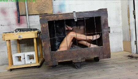 Pulled from her cage, impaled on a dildo for multiple bound orgasms (MP4 HD 6000kbps)