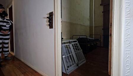 Prisoner #27 returns for imprisonment - Chapter SEVEN