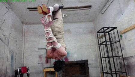 TS slut hangs in an inverted hogtie strap-on face fucked and made to cum (MP4 HD 6000kbps)