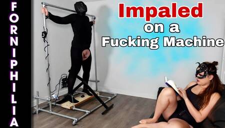 Hard Rough Anal Fucking Machine Pegging Bondage for Slave While I Relax!