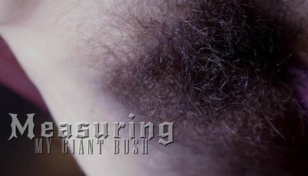 Measuring My Giant Bush