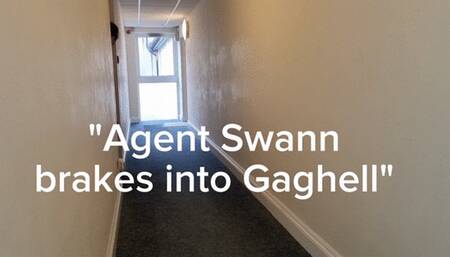 Agent Swann breaks into gaghell