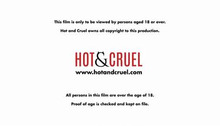 BUNDLE - Fading by Design - 7 clips in 1 - 1080 MP4