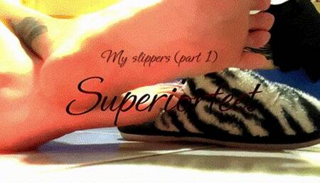 My slippers (part 1)