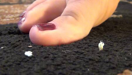 You Think Your Slick!