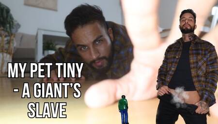 My pet tiny | A Giants slave POV - Lalo Cortez