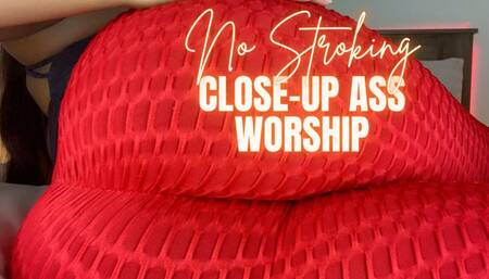 NO Stroking - Close Up Ass Worship