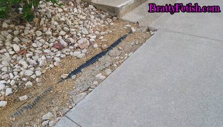 Shoeplay spying on Latinas long legs and cute white socks in public 720p