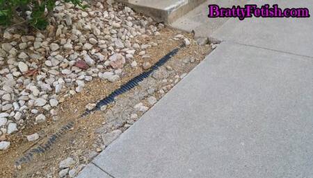 Shoeplay spying on Latinas long legs and cute white socks in public