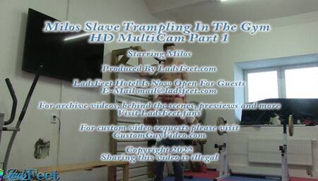Milos Slave Trampling In The Gym HD Full Video 56 Mins
