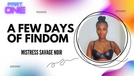 A Few Days of FinDom