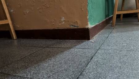 Karlotta the executive (PERSONALIZED)