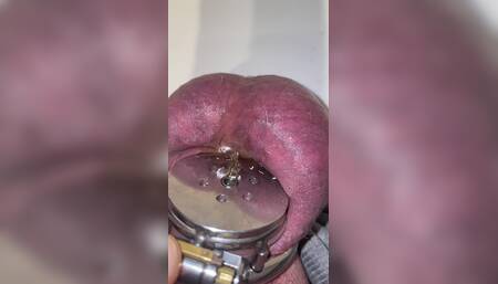 Pissing in Flat Chastity Cage