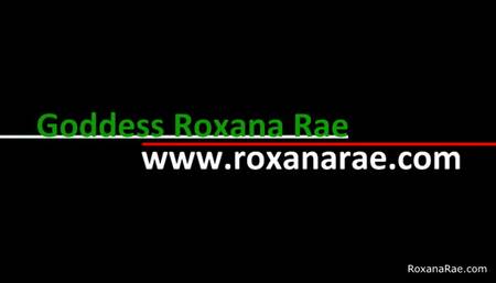 Sissy Christmas Stocking