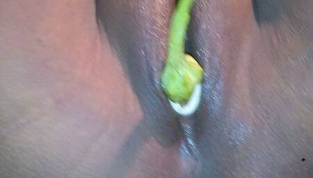 Bangladeshi Frogs