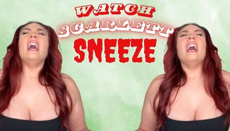 Watch Scarlett Sneeze (wmv)