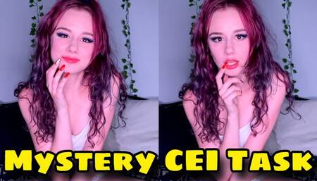 Mystery CEI Task