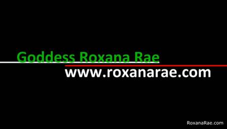 Christmas Pussy Peek