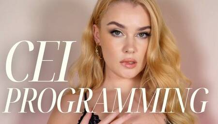 CEI Programming - A First Time CEI Guide