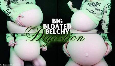 Big Bloated Belchy Digestion - HD