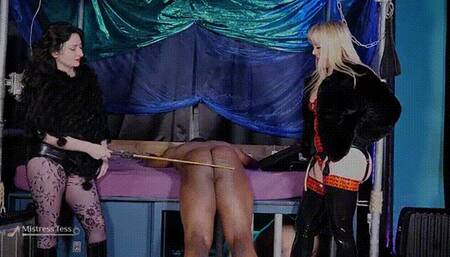 Getting straight down to business (HD)