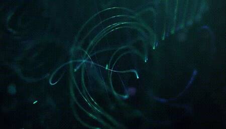 Wet Sneezy Mess *mp4*