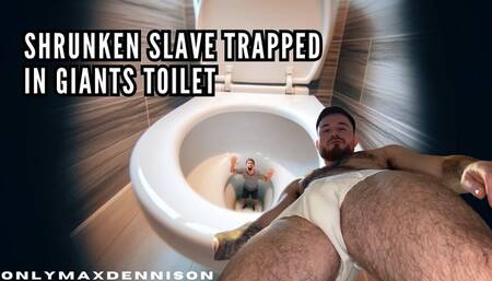 Shrunken slave trapped in giants toilet