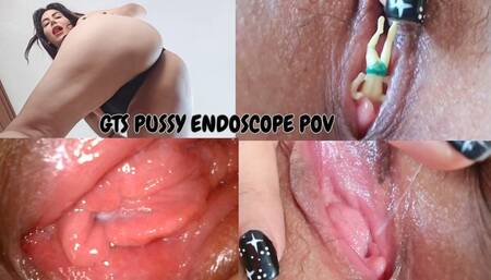 Giantess insertion with pussy endoscope