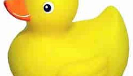 For training purposes, Please approve the Clip - Window blinds test clip Agent Training