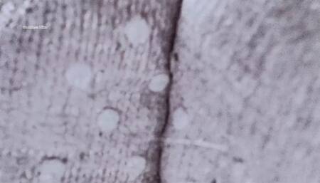 Stinky Dose Of Socks