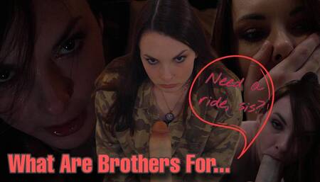 What Are StepBrothers For