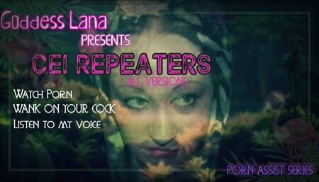 CEI Repeaters All Versions.