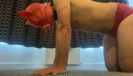 Disgusting pig gets degraded and humiliated by his mistress